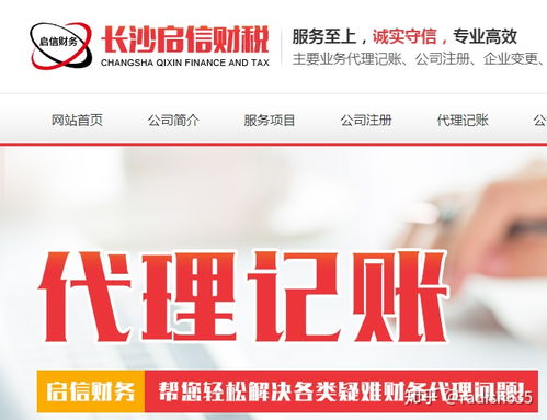 代理記賬服務 專業代辦，企業財務無憂